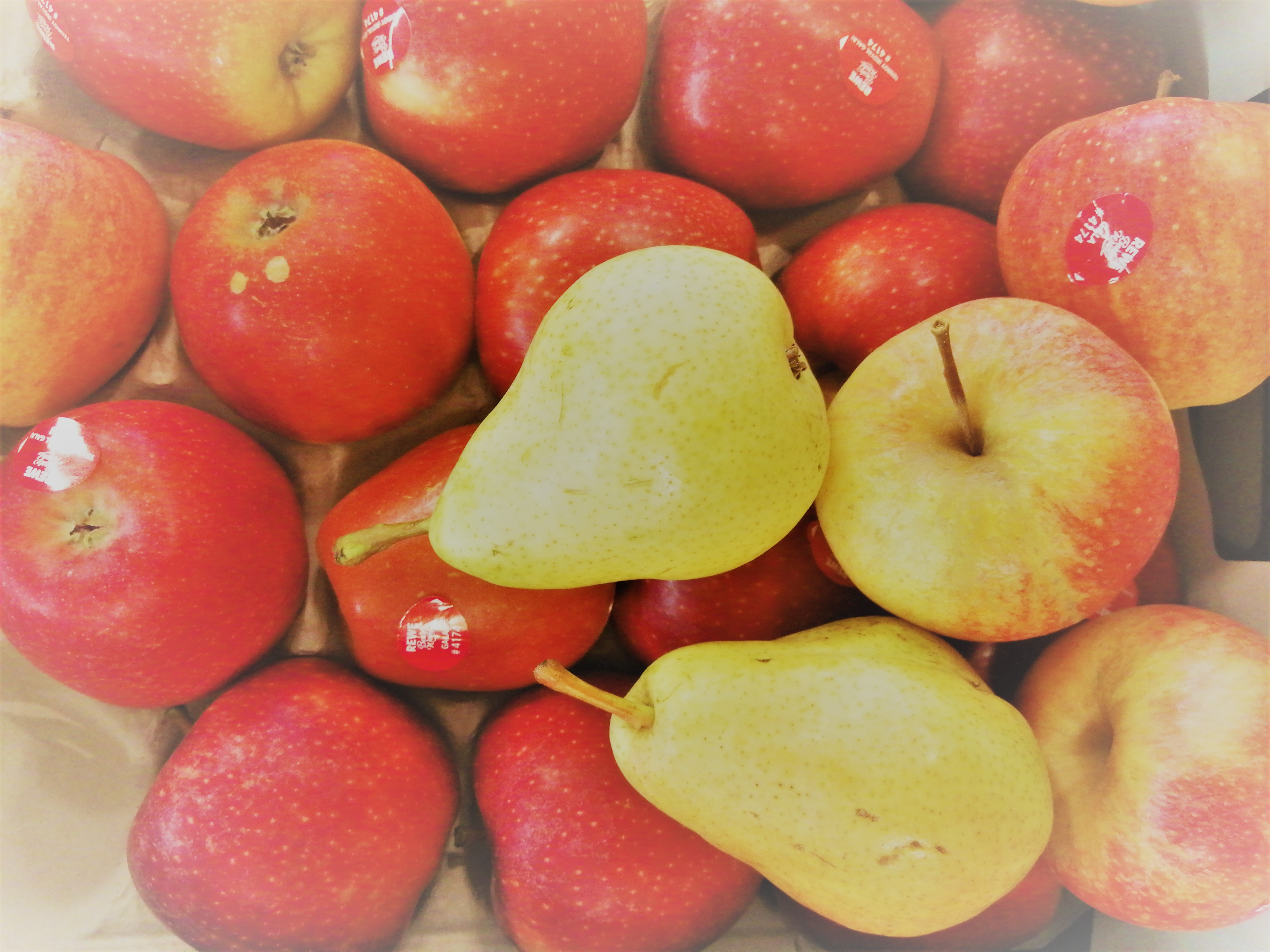Wie man Äpfel mit Birnen vergleicht, oder was ich als Anthologie-Herausgeberin gelernt habe